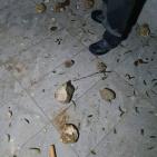 شاهد: 125 إصابة خلال مواجهات مع الاحتلال في برقة