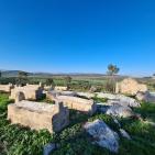 تظاهرة في لوبية المهجرة ضد اعتداءات الاحتلال على مقبرة القرية