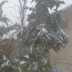 بالصور: جبال الخليل تكتسي بالثوب الأبيض