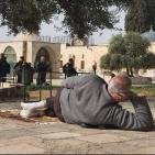 مباشر: إصابات واعتقالات خلال اقتحام قوات الاحتلال والمستوطنين 