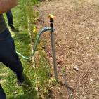 رام الله: ضبط مستنبت مخدرات بداخله مئات الأشتال والحبوب