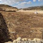 مستوطنون يقتلعون 450 شجرة بين ترمسعيا والمغير قرب رام الله