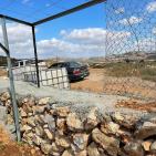 مستوطنون يقتلعون 450 شجرة بين ترمسعيا والمغير قرب رام الله