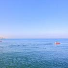 الاتحاد الفلسطيني للشراع والتجديف ينظّم