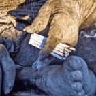 لم يستحم منذ نصف قرن.. وفاة 