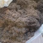 ضبط معمل لإنتاج المعسل والدخان الغير قانوني في محافظة جنين