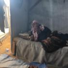 مأساة الحاجة أبو العلا.. عاصرت 