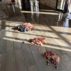 قرية الشباب في مواجهة 