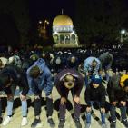 صور| 50 ألف مصلٍ يؤدون صلاتي العشاء والتراويح في المسجد الأقصى