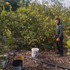 سليمية يعلن إنجاز الاعتماد الرسمي للمنتجات الفلسطينية في السوق السعودي