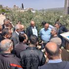 صور| وزارة الزراعة تفتتح عددا من المشاريع الزراعية الحيوية في قلقيلية