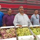 الخليل تحتفل بعنبها 