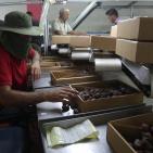 نفط مدينة القمر 