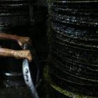 أقدم معاصر الزيتون في فلسطين 