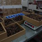 نفط مدينة القمر 