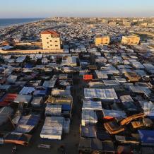 صحيفة: خطة أممية شاملة لمكافحة القوارض والحشرات في غزة قريباً