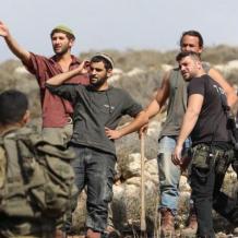 إصابة مُسن ونجله باعتداء مستوطنين عليهما بالضرب جنوب الخليل