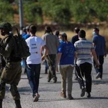 مستوطنون يعتدون على مواطنين في الحديدية بالأغوار الشمالية