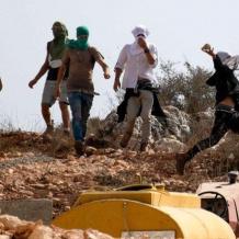 المستوطنون يواصلون اعتداءاتهم على المواطنين شرق بلدة إذنا