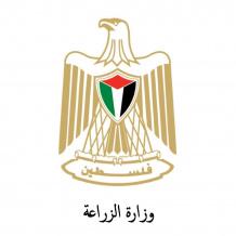 الزراعة تؤكد رفضها القاطع للادعاءات الإسرائيلية بشأن تلوث الخضروات الفلسطينية المصدّرة ببقايا مبيدات