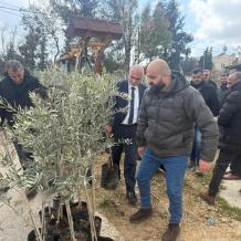 "الزراعة": توزيع 565 شجرة زيتون لصالح 14 مزارعاً من صوريف وبيت أمر وبني نعيم