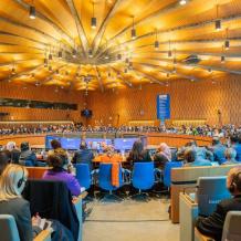 المجلس التنفيذي لمنظمة اليونسكو يعتمد قرارا بشأن غزة