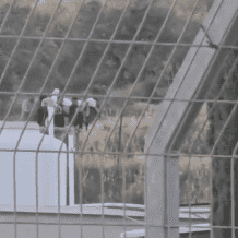 الأمم المتحدة: نبش إسرائيل أحد القبور في جنين مروع ويجسد نزع الإنسانية عن الفلسطينيين