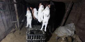 خبراء لـ"رايـة": هكذا تستطيع الحكومة انعاش اقتصاد غزة بسرعة