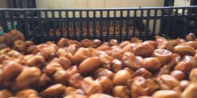 صور: اتلاف 13 طن من التمور الفاسدة