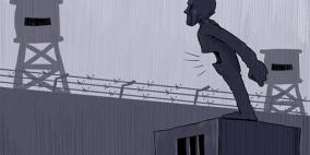 محمد سباعنة