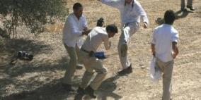 مستوطنون يعتدون على مواطن من سلفيت ويسلبونه ثمار الزيتون