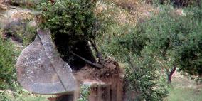 الاحتلال يجرف نحو مئة دونم جنوب بيت لحم