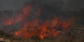 احتراق مائة شجرة زيتون داخل الجدار شمال طولكرم