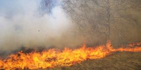 السيطرة على حريق اعشاب واشجار هائل جنوب مدينة جنين