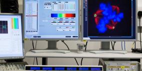 دراسة: تحفيز الجهاز المناعي الطريقة المثلى لمحاربة السرطان