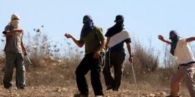 مستوطنون يرشقون مركبات المواطنين بالحجارة جنوب جنين