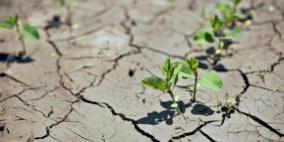 نسبة الامطار سيئة مقارنة بالعام الماضي.. انحباس الامطار يهدد الموسم الزراعي