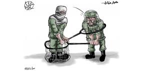 محمد سباعنة