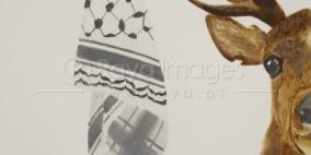 برائحة القهوة.. احترفت فناً خاصاً من لا شيء