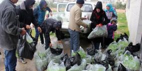 "العمل الزراعي" يوزع 41 ألف شتلة خضراوات لدعم النساء في المغير