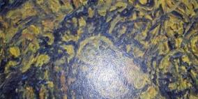 الرسام فؤاد إغبارية يفتتح  معرضه تحت عنوان حنين الى الضوء