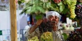 بحث علمي يكشف  عن وجود 21 صنف أصيل من العنب في فلسطين دون سواها من دول العالم