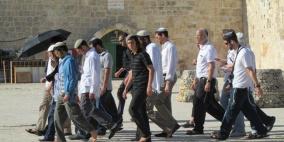 ابو دياب لـ"رايــة": مستوطنون متطرفون يقتحمون الاقصى بحماية شرطة الاحتلال