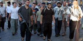 مستوطنون يعتدون على أراضي وادي قانا بسلفيت