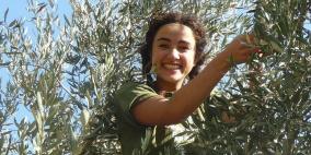 سليم ابو غزالة: توقعات بتراجع انتاج زيت الزيتون هذا العام