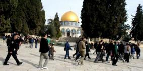 'منظمات الهيكل' تدعو لاقتحامات واسعة للأقصى