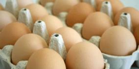 الشرطة تقبض على تاجر يسوّق بيضا فاسدا في رام الله