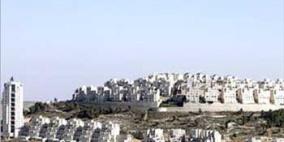 مستوطنون يشرعون ببناء بؤرة استيطانية فوق اراضي جيوس