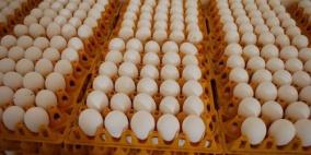 بيض الدجاج "ببلاش"!