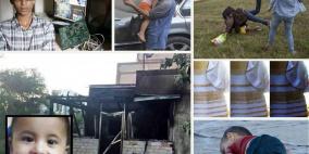 احداث فارقة في 2015 صنعها "فيسبوك" و"تويتر"